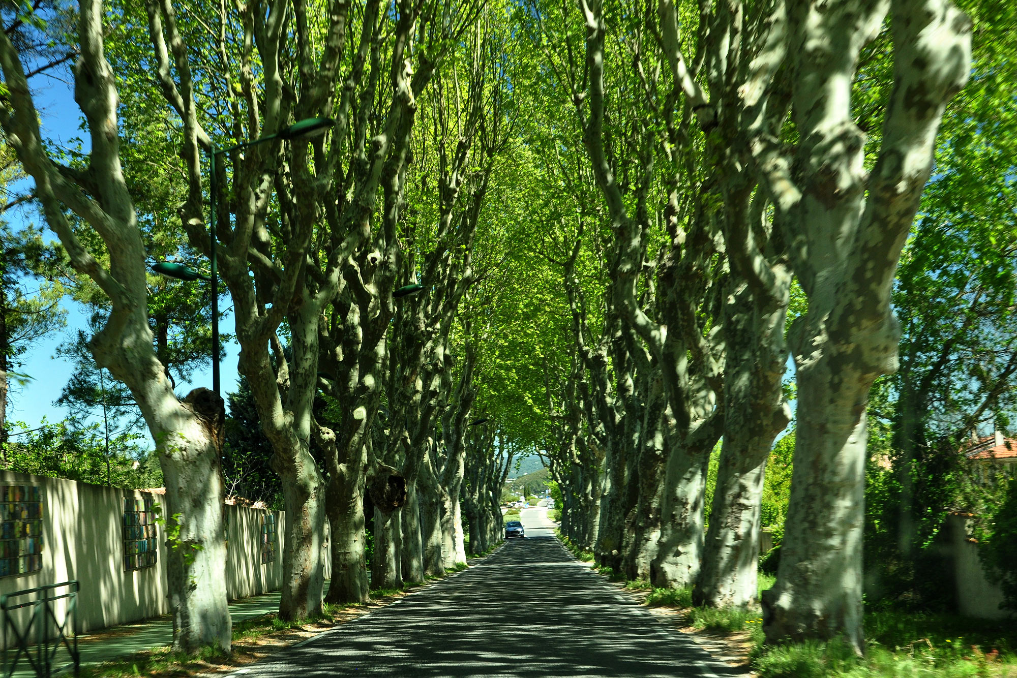 Cucuron